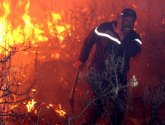 ارتفاع عدد ضحايا الحرائق في الجزائر إلى 65 شخصاً
