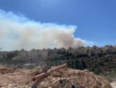 لليوم الثاني.. تجدد الحرائق في جبال القدس المحتلة