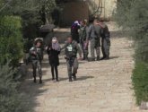 الاحتلال يعتقل فتاة بزعم "حيازتها سكينا" على حاجز الجيب شمال شرق القدس