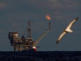 النفط يتراجع مع زيادة مخزونات الخام الأمريكية
