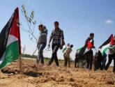 حماس في يوم الأرض: لا سبيل إلى تحرير فلسطين إلا بترسيخ المقاومة الشاملة