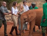 فيديو.. فيل ضخم يهاجم زوجة الرئيس الامريكي ترامب