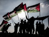 سيناتور بلجيكي: السلام بالعالم يبدأ بحل قضية فلسطين