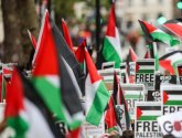 تظاهرات حاشدة في نيويورك وشيكاغو تنديدا بالعدوان الإسرائيلي على غزة