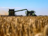 بوتين يكشف تفاصيل وجهة صادرات الحبوب الأوكرانية