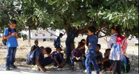 فلسطين: ذهبوا الى مدرستهم فلم يجدوها ...