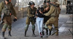الاحتلال يعتقل 55 مواطنا من الضفة