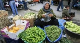 فلسطين: غزة تصدر 300 طن اسبوعيا ...