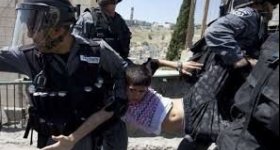 الاحتلال يعتقل طفلاً فلسطينياً يحمل الجنسية ...