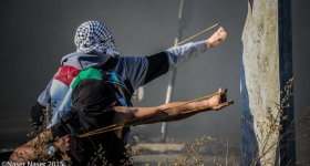 استطلاع: الفلسطينيون يؤيدون استقالة الرئيس ومع ...