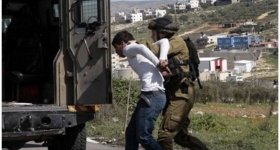 قوات الاحتلال تعتقل 16 مواطنًا من ...