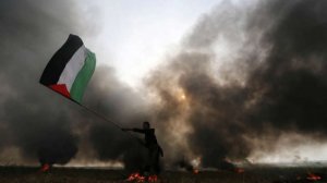 أبو الغيط: انزواء القضية الفلسطينية بات حقيقة يجب أن نعيها ونقاومها