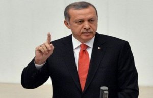 أردوغان: تضامن بلدان المنطقة شرط لمواجهة حلقة النار المحدقة بها