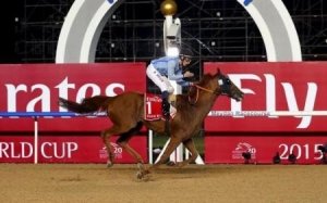 برينس بيشوب يفوز بكأس دبي العالمية للخيول