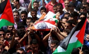 29 شهيداً و312 جريح برصاص قوات الاحتلال خلال شهر مايو