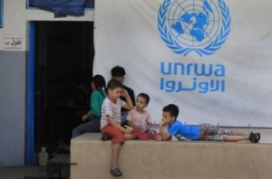 منظمة آكشن إيد الدولية: قطع تمويل الأونروا بمثابة حكم بالإعدام على الفلسطينيين في غزة والمنطقة