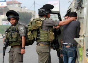 الاحتلال يعتقل 12 شابا من الضفة المحتلة