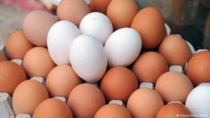 ما الفرق بين البيض الأبيض والبيض البني؟