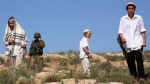 قلق دولي بالغ إزاء العدد القياسي لاعتداءات المستوطنين في الضفة الغربية