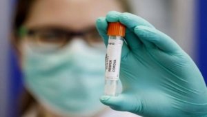 الصحة: تسجيل 596 إصابة جديدة بفيروس كورونا يرفع الحصيلة 8411