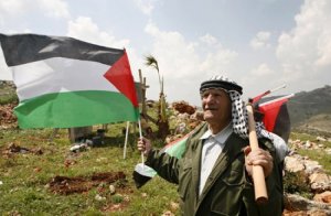 فلسطين: منطق الأرض