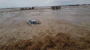 ارتفاع حصيلة ضحايا الفيضانات في الجزائر إلى 8