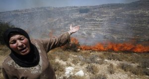 مستوطنون يضرمون النار بحقول زراعية فلسطينية في قرية شمال الضفة