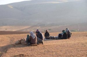 الاحتلال يشرّد 5 عائلات من الأغوار